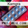 Kamgra viagra3
